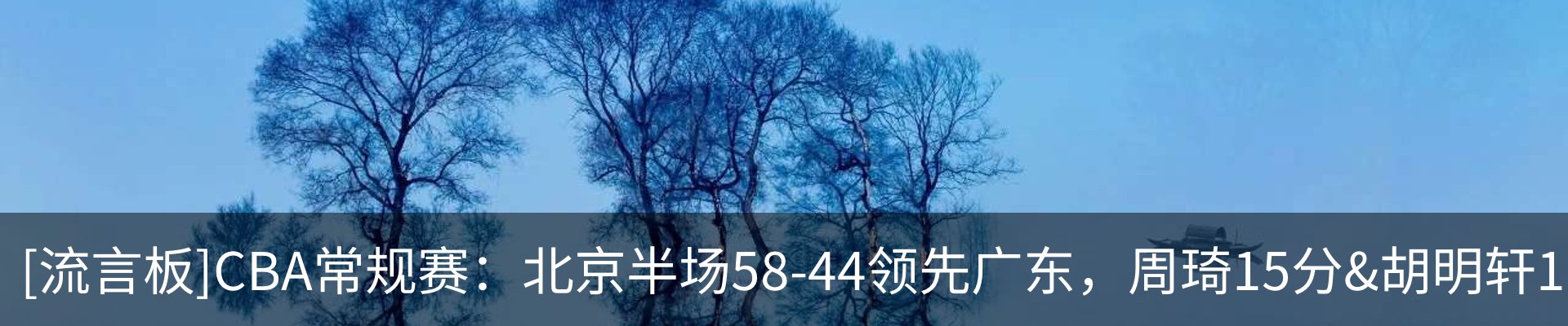 新闻动态